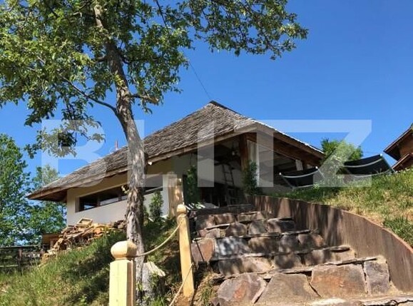 Spațiu comercial de vânzare Budeşti - 165742SVC | BLITZ Baia Mare | Poza7