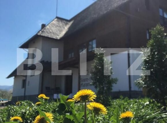 Spațiu comercial de vânzare Budeşti - 165742SVC | BLITZ Baia Mare | Poza9
