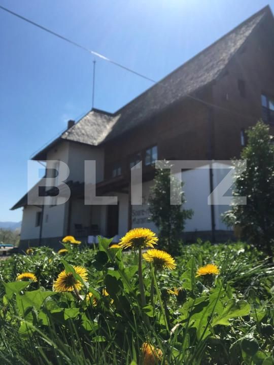 Spațiu comercial de vânzare Budeşti - 165742SVC | BLITZ Baia Mare | Poza9