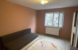 Apartament de 2 camere, 47 mp, zona Piata Izvoare