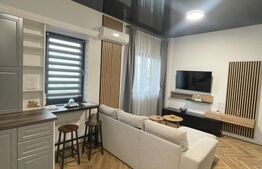 Apartament cu o cameră, 36 mp, zonă centrală 