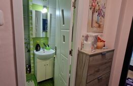 Apartament de vanzare 3 camere, 41 mp, zona George Enescu