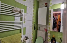 Apartament de vanzare 3 camere, 41 mp, zona George Enescu