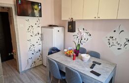 Apartament de vanzare 3 camere, 41 mp, zona George Enescu