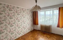 Apartament de 2 camere ultracentral, 48 mp, balcon închis, zona Regele Mihai