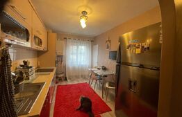 Apartament cu 3 camere spatioase, 70 mp, zona linistita, Hotvon