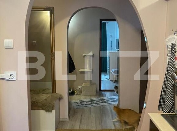 Apartament de vânzare 3 camere Hotvon - 168346AV | BLITZ Baia Mare | Poza14