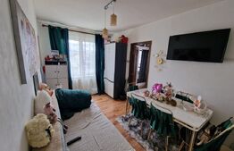 Apartament de vanzare 2 camere, 33 mp, zona George Enescu 