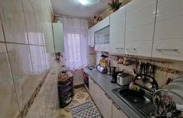 Apartament de vanzare, cu 2 camere, 41 mp, zona Regele Ferdinand