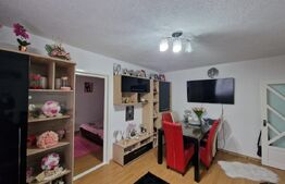 Apartament de vanzare, cu 2 camere, 41 mp, zona Regele Ferdinand