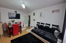 Apartament de vanzare, cu 2 camere, 41 mp, zona Regele Ferdinand