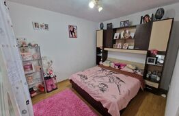 Apartament de vanzare, cu 2 camere, 41 mp, zona Regele Ferdinand