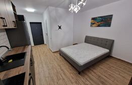 Apartament de vanzare cu 1 camera, 26 mp, zona George Cosbuc 