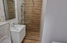 Apartament de vanzare cu 1 camera, 26 mp, zona George Cosbuc 