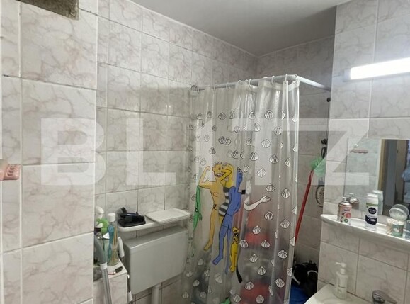 Apartament de vânzare 4 camere Vasile Alecsandri - 169298AV | BLITZ Baia Mare | Poza8
