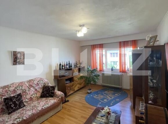 Apartament de vânzare 3 camere Vasile Alecsandri - 169411AV | BLITZ Baia Mare | Poza1