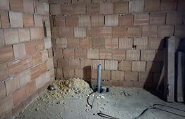 Apartament de vanzare, cu 1 camera, 45 mp, zona Ferneziu