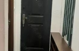 Apartament de vanzare, cu 2 camere, 31 mp, zona Sasar