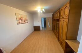 Apartament de vanzare, cu 2 camere, 46 mp, zona Garii