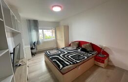 Apartament 2 camere central,zona linistita.