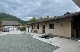 Duplex de vanzare, 2 unități, 8 camere, 300 mp, zona centrala