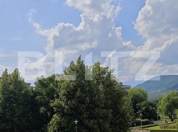 Apartament de vânzare 2 camere Central - 171654AV | BLITZ Baia Mare | Poza11