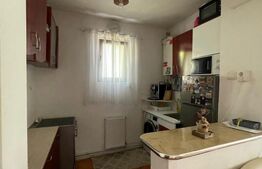 Casa familiala, 5 camere, zona buna, linistita