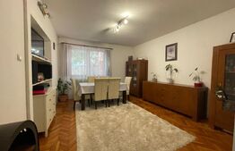 Casa familiala, 5 camere, zona buna, linistita