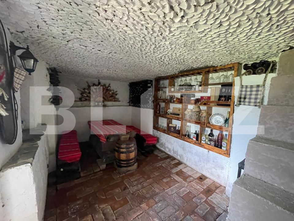 Casa de vânzare 5 camere Central - 172807CV | BLITZ Baia Mare | Poza23