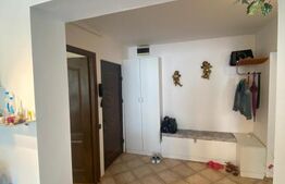 Apartament de vanzare, cu 2 camere decomandat, 50 mp, zona Bogdan Voda