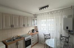Apartament de vanzare, cu 2 camere, 45 mp, etaj 7, zona ultracentrala