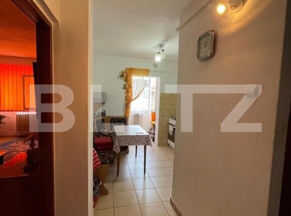 Apartament de vânzare 3 camere Vasile Alecsandri - 174528AV | BLITZ Baia Mare | Poza3