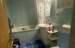  Apartament 2 camere decomandat, mobilat, etaj 1 – Bld. Regele Ferdinand