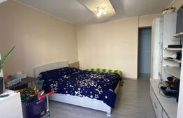  Apartament 2 camere decomandat, mobilat, etaj 1 – Bld. Regele Ferdinand