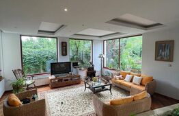 Casa P+1, cu Piscina si Garaj Dublu, 340 mp, 17 ari teren, zona Grivitei