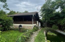 Casa P+1, cu Piscina si Garaj Dublu, 340 mp, 17 ari teren, zona Grivitei