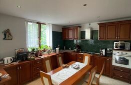 Casa P+1, cu Piscina si Garaj Dublu, 340 mp, 17 ari teren, zona Grivitei