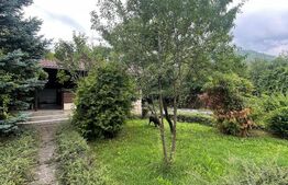 Casa P+1, cu Piscina si Garaj Dublu, 340 mp, 17 ari teren, zona Grivitei