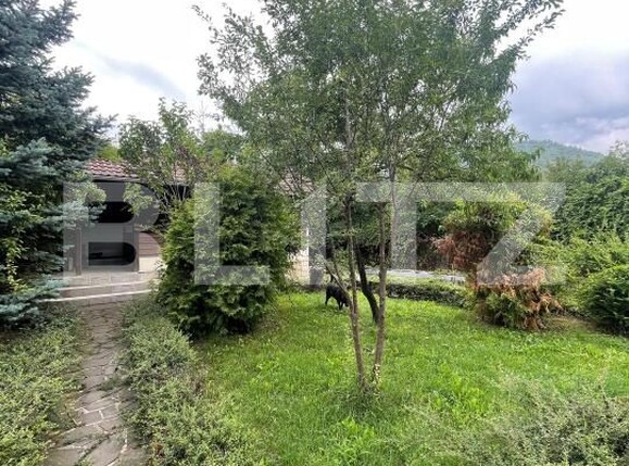 Casa de vânzare 6 camere Grivitei - 174772CV | BLITZ Baia Mare | Poza3