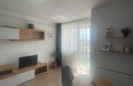 Oportunitate! Garsoniera de vanzare, 28 mp, balcon 6 mp, etaj 9, zona Vivo