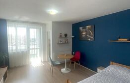 Oportunitate! Garsoniera de vanzare, 28 mp, balcon 6 mp, etaj 9, zona Vivo