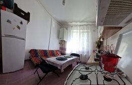 Apartament de vanzare, cu 1 cameră, 22 mp, zona Bl. Unirii