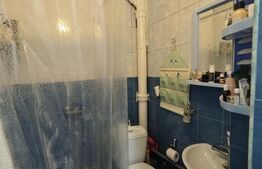 Apartament de vanzare, cu 1 cameră, 22 mp, zona Bl. Unirii