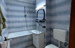 Apartament 3 camere spatioase, usor accesibile, zona Garii