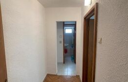 Apartament de 3 camere, 60 mp, central, parter, Oituz