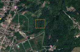 Teren generos de 4200 mp cu acces in perspectiva din două părți – oportunitate 