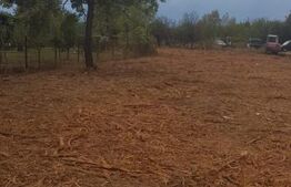 Oferta Investiie in cartier de case