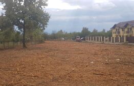 Oferta Investiie in cartier de case