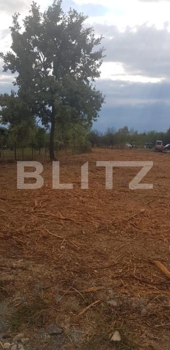 Teren de vânzare Tautii-Magheraus - 176189TV | BLITZ Baia Mare | Poza3