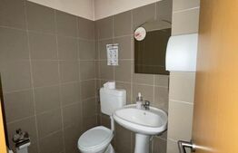 Spațiu comercial ultracentral de închiriat – 165 mp, Bd. Regele Mihai I